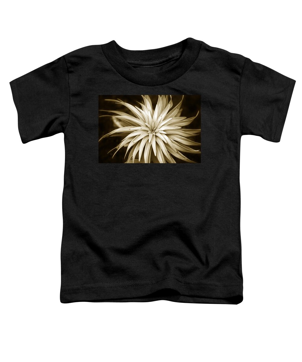 Leaves Toddler T-Shirt featuring the photograph Sepia Plant Spiral by Christina Rollo