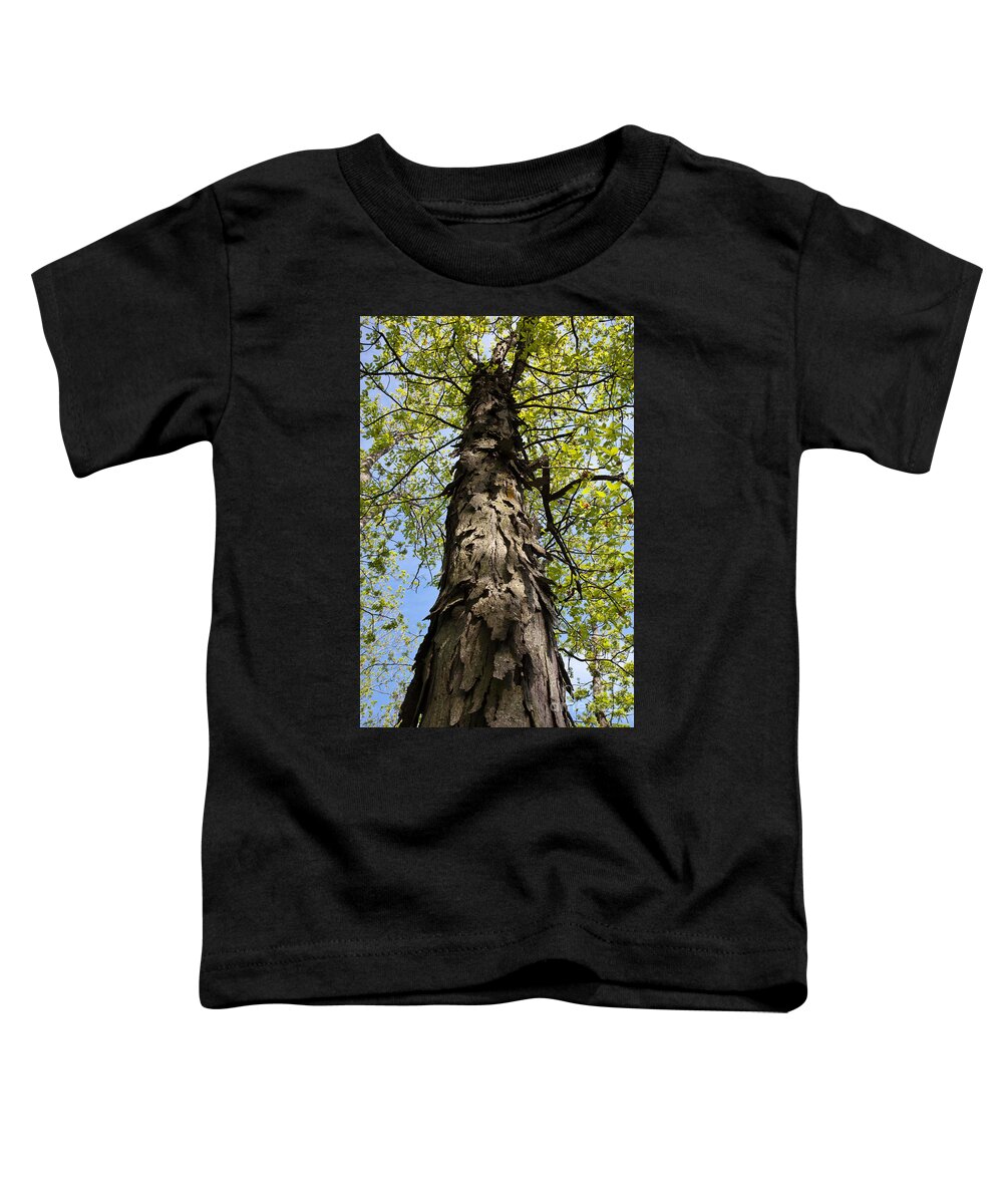 Shagbark Hickory Toddler T-Shirt featuring the photograph Shagbark Hickory Tree by Greg Dimijian