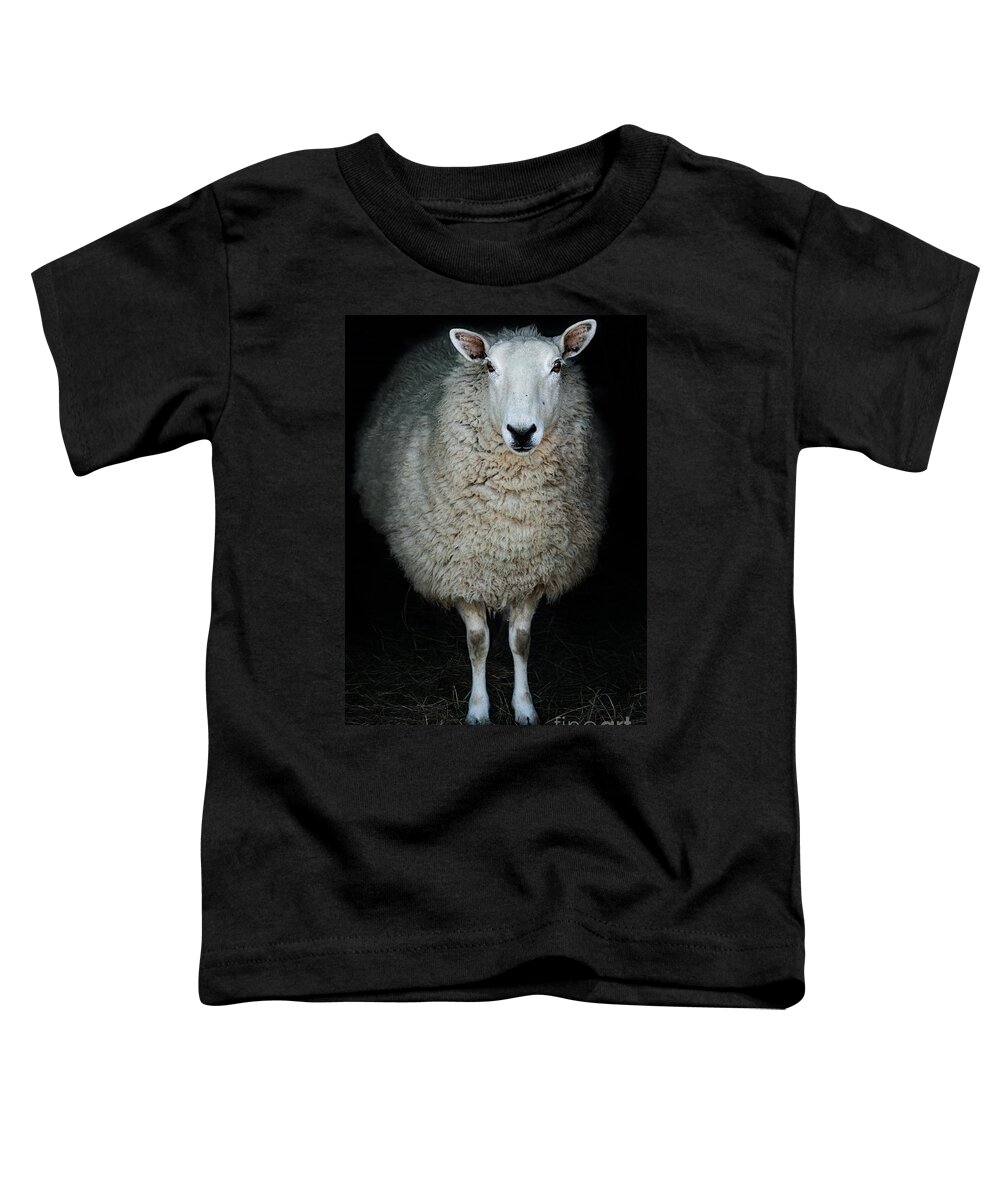 Cute Toddler T-Shirt featuring the photograph Sheep by Stephanie Frey