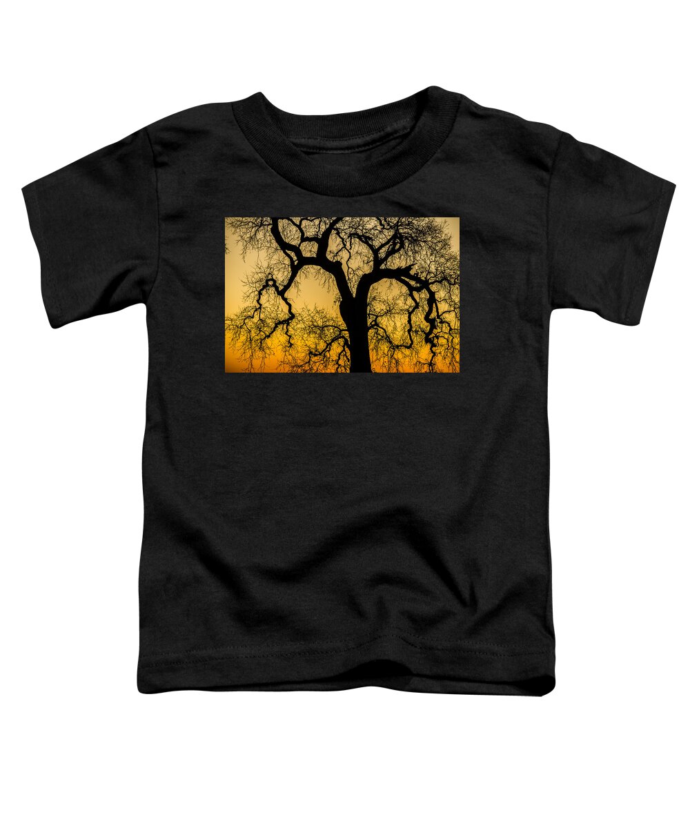 Oak Tree Toddler T-Shirt featuring the photograph Silhouette Oak by Spencer Hughes