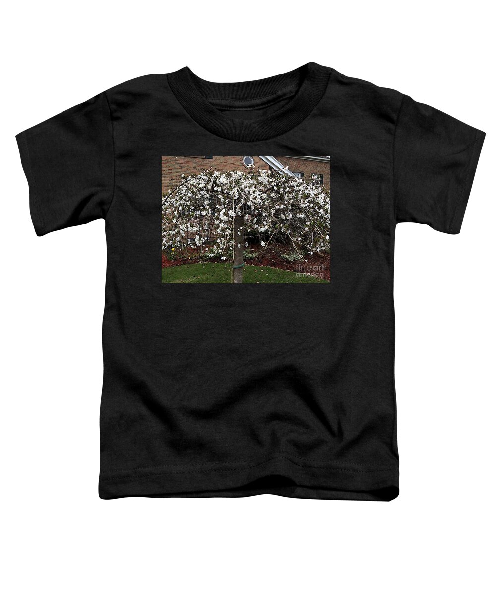 Blooming Tree Toddler T-Shirt featuring the photograph Sisters by Joseph Yarbrough