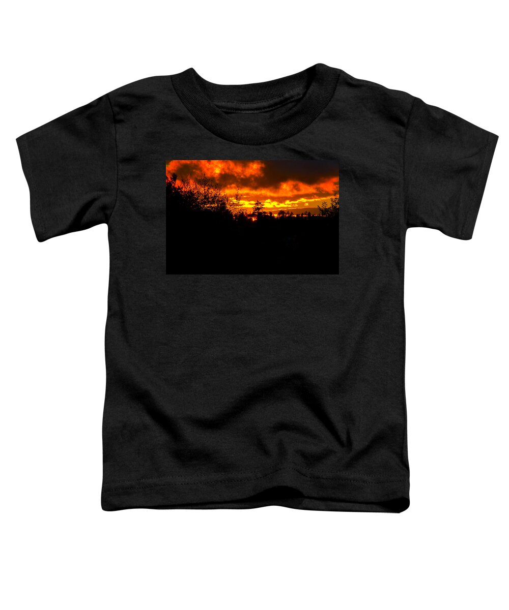 Trees Toddler T-Shirt featuring the photograph Sky A Flame by Tikvah's Hope