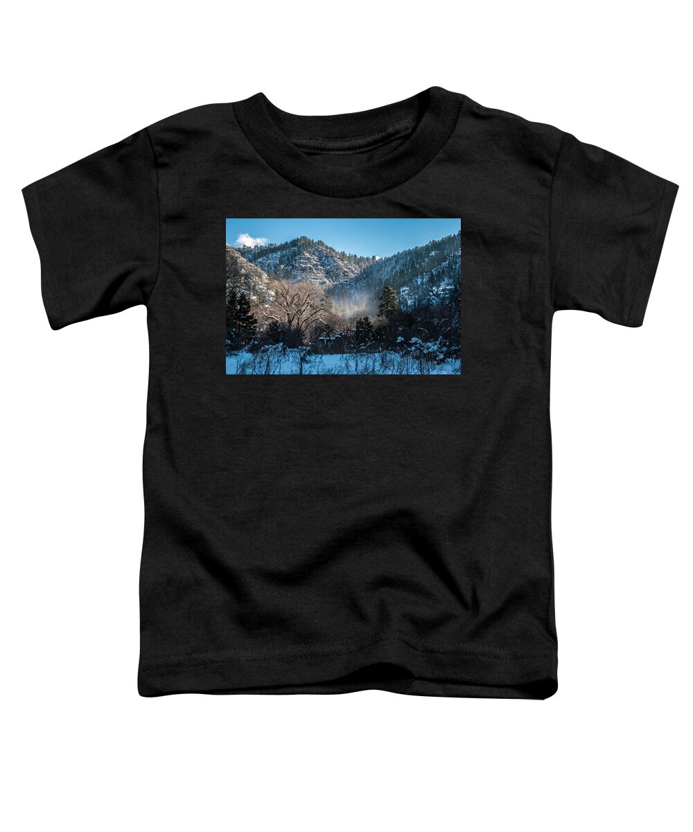 Snow Toddler T-Shirt featuring the photograph Snow Flurry in West Fork by Tam Ryan
