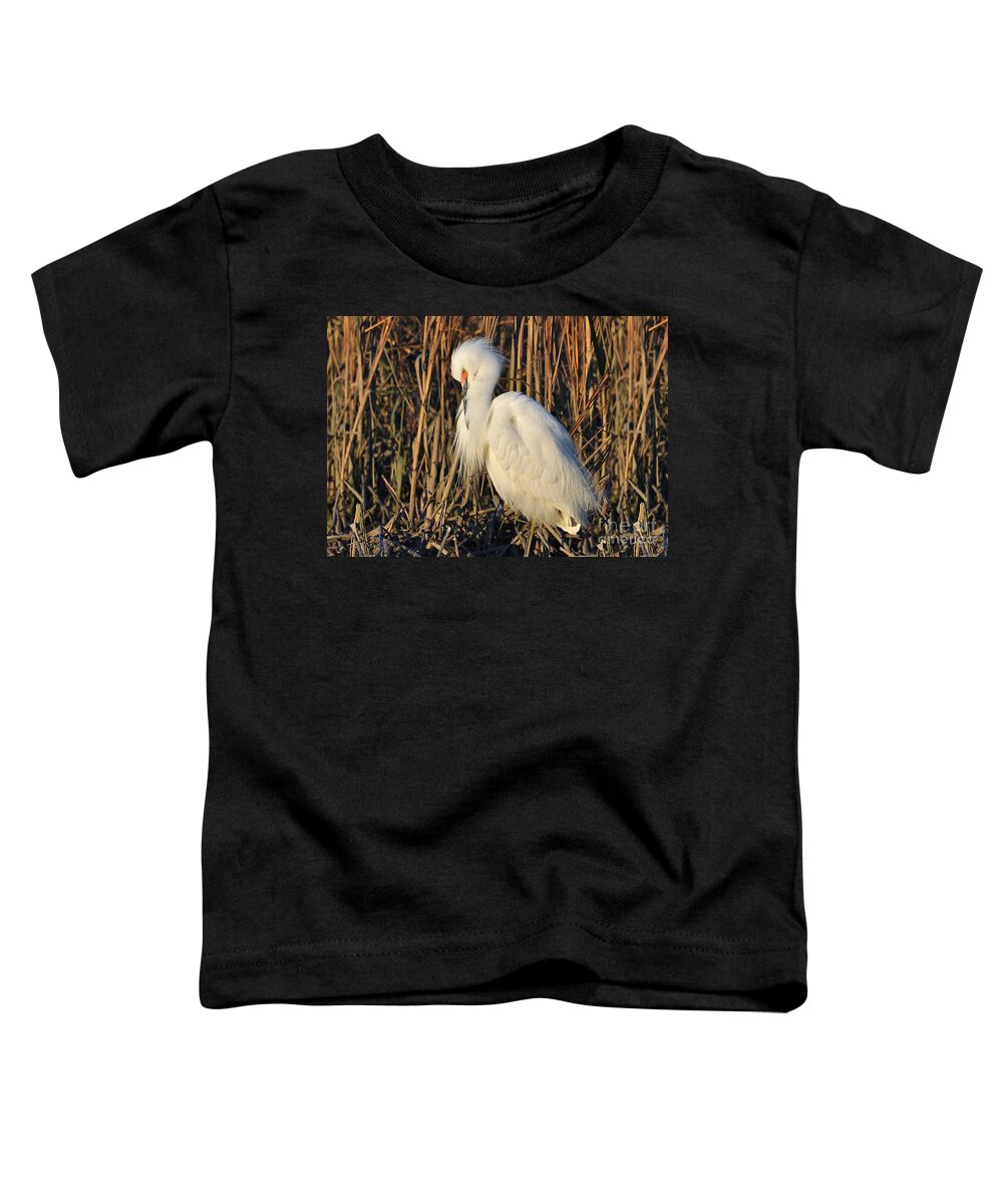 Birds Toddler T-Shirt featuring the photograph Snowy Egret With Breeding Colors by Kathy Baccari