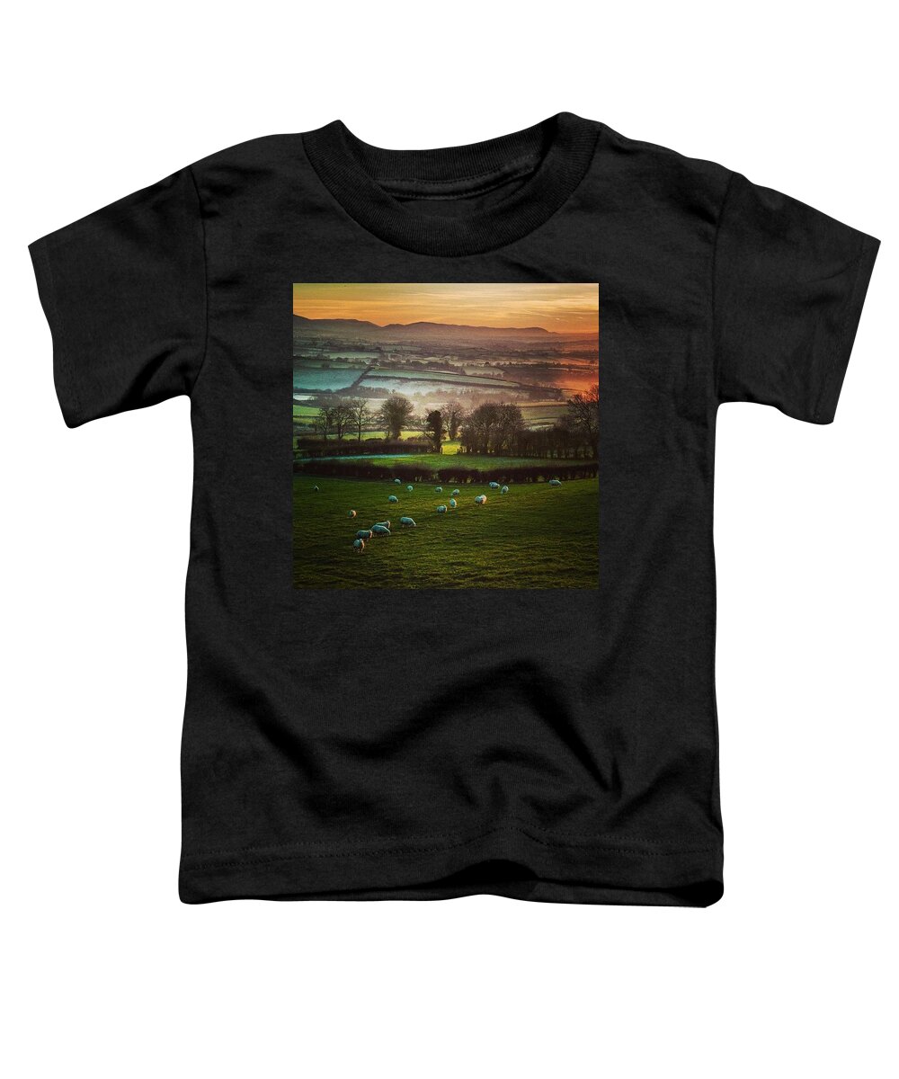  Toddler T-Shirt featuring the photograph Speckled Sheep by Aleck Cartwright