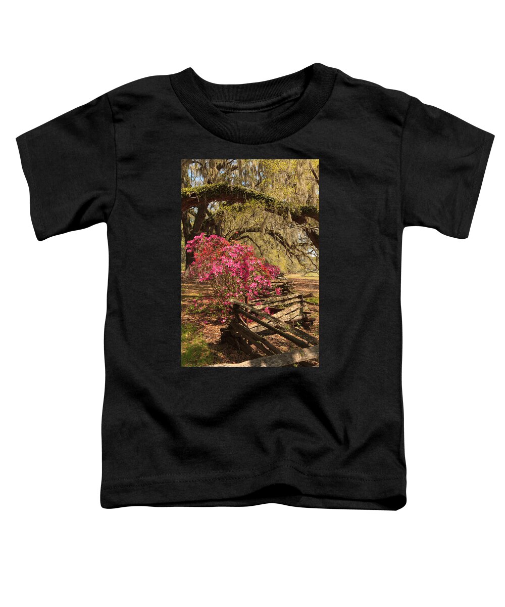 Azalea Toddler T-Shirt featuring the photograph Spring Beauty by Patricia Schaefer