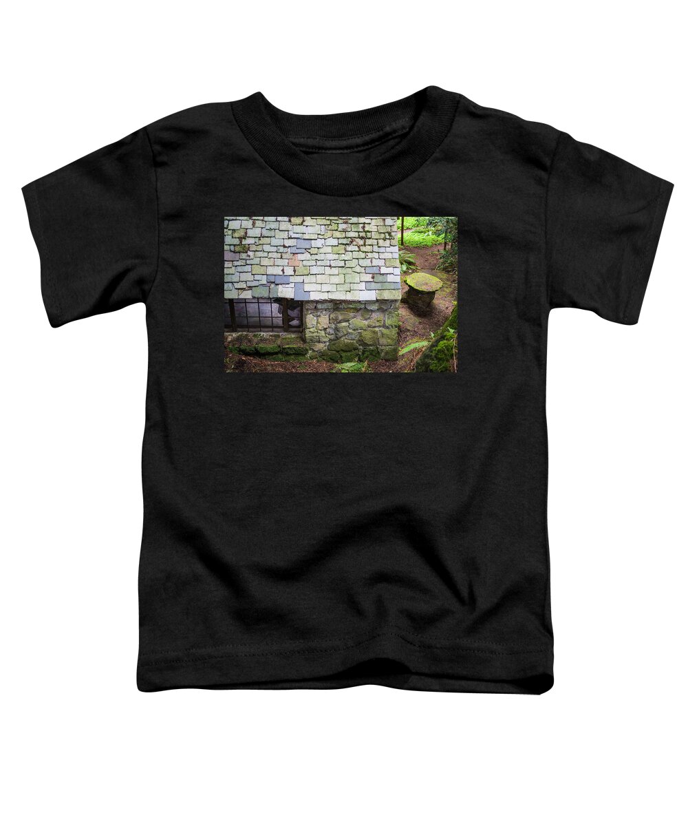 Stone House In The Forest Toddler T-Shirt featuring the photograph Stone House In The Forest by Priya Ghose