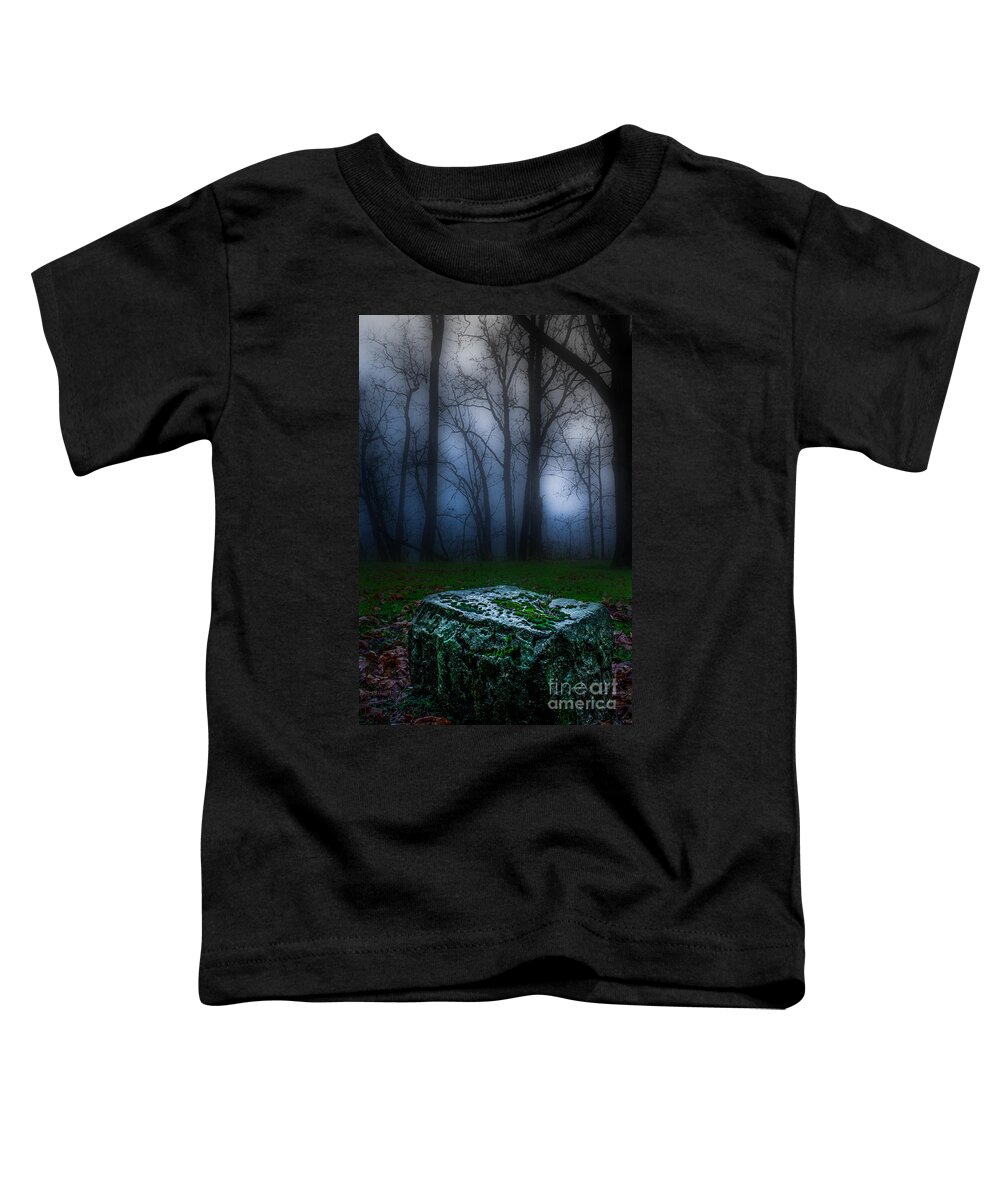 Defiance Toddler T-Shirt featuring the photograph Stone Table by Michael Arend