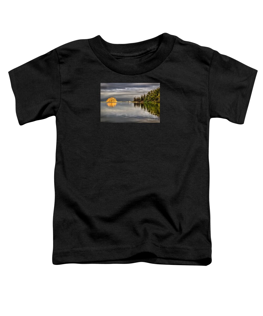 Morro Bay Toddler T-Shirt featuring the photograph Storm Light by Alice Cahill