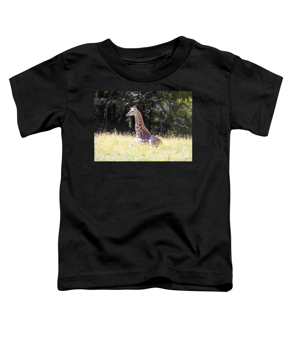 Giraffe Toddler T-Shirt featuring the photograph Sun Bathing by Rick Kuperberg Sr