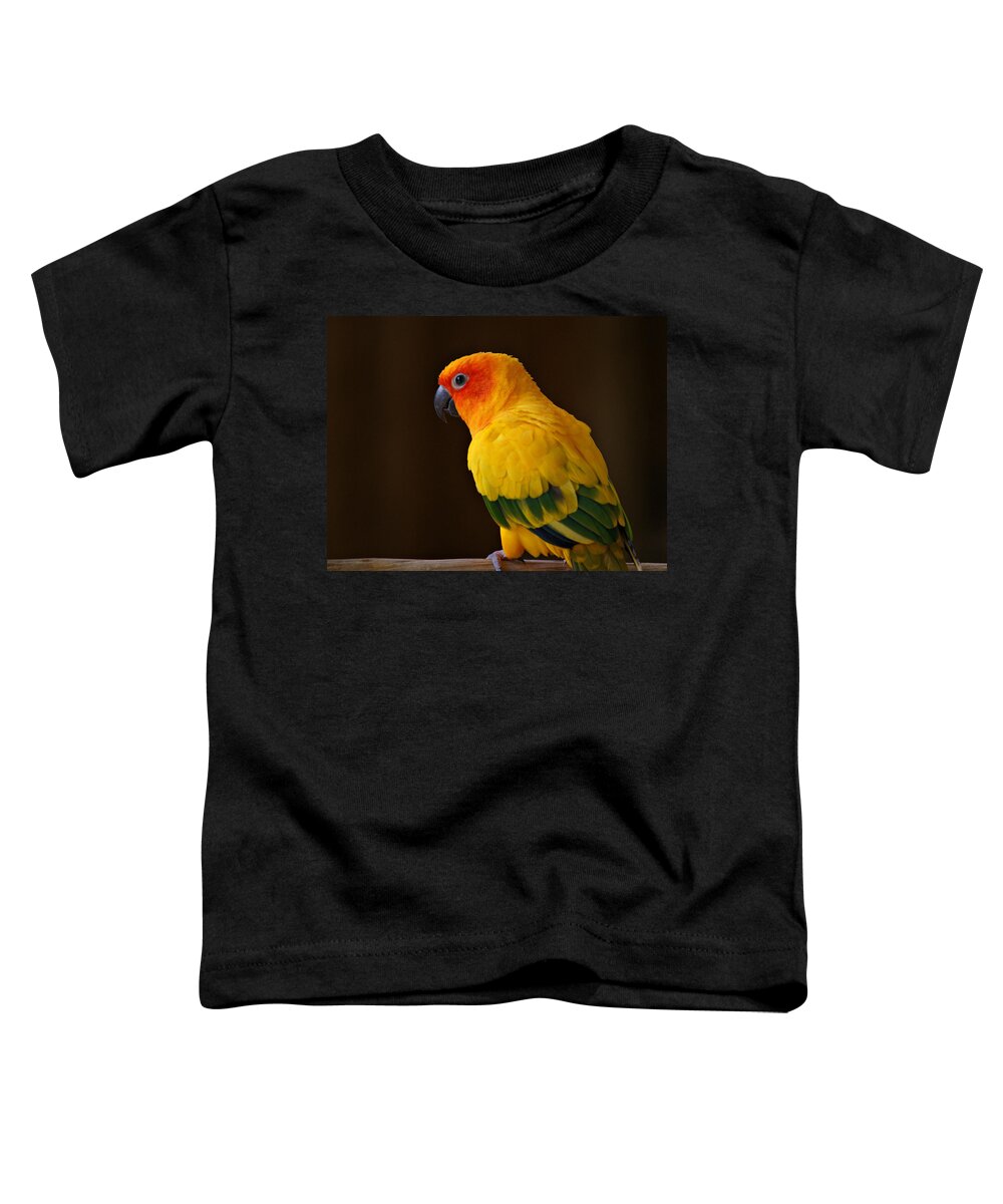 Parrot Toddler T-Shirt featuring the photograph Sun Conure Parrot by Sandy Keeton