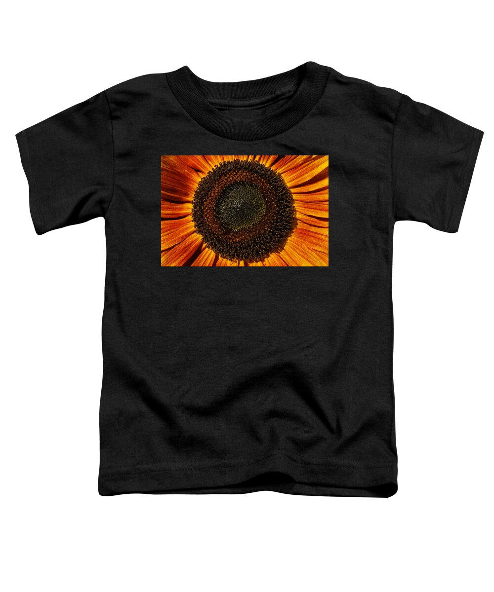 Sunflower Toddler T-Shirt featuring the photograph Sunflower Bloom by Luke Moore