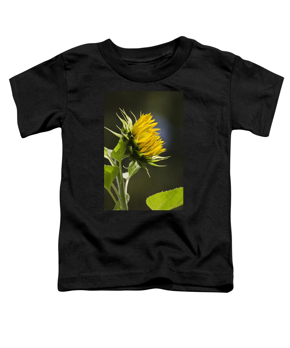 Sunflower Toddler T-Shirt featuring the photograph Sunflower Bright Side by Christina Rollo