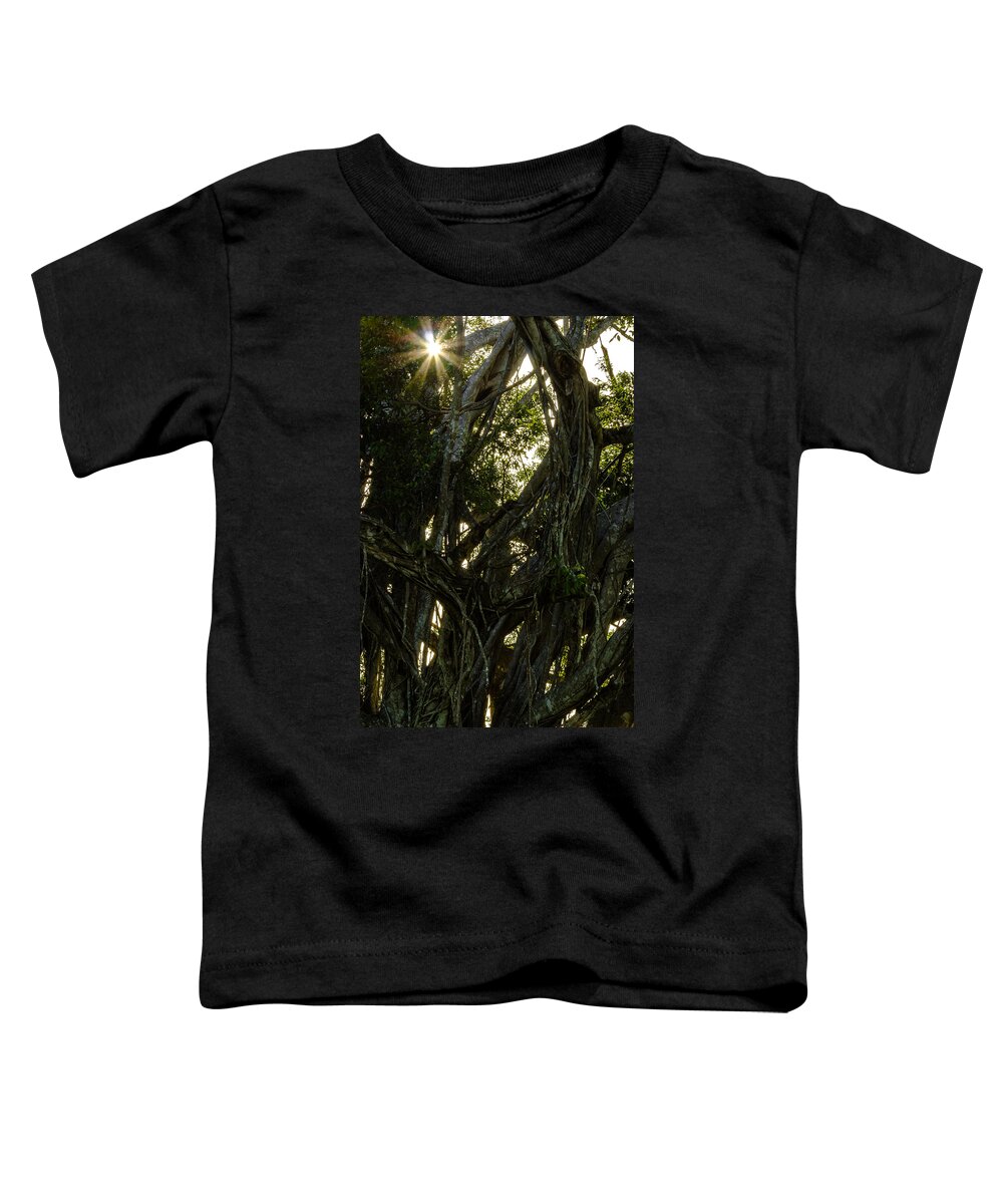Bark Toddler T-Shirt featuring the photograph Sunlight Through the Tangle by Ed Gleichman
