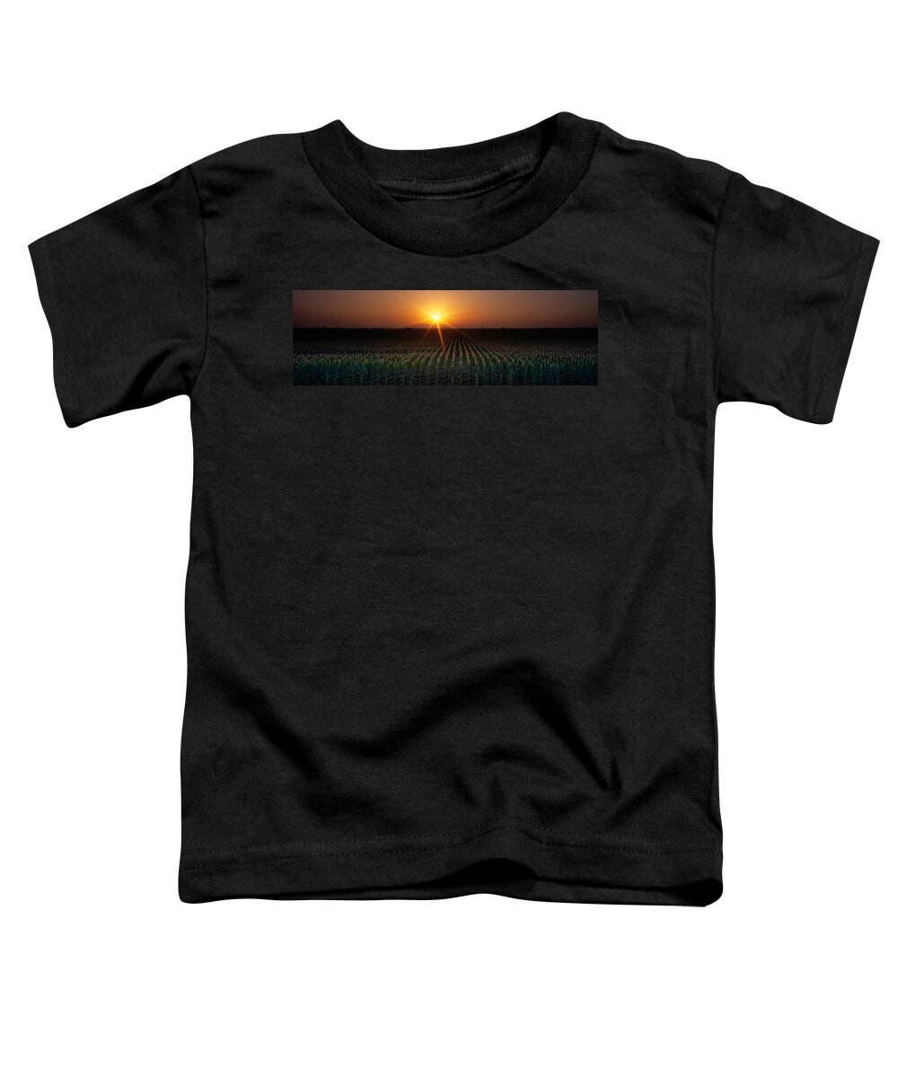 Photography Toddler T-Shirt featuring the photograph Sunrise, Crops, Farm, Sacramento by Panoramic Images