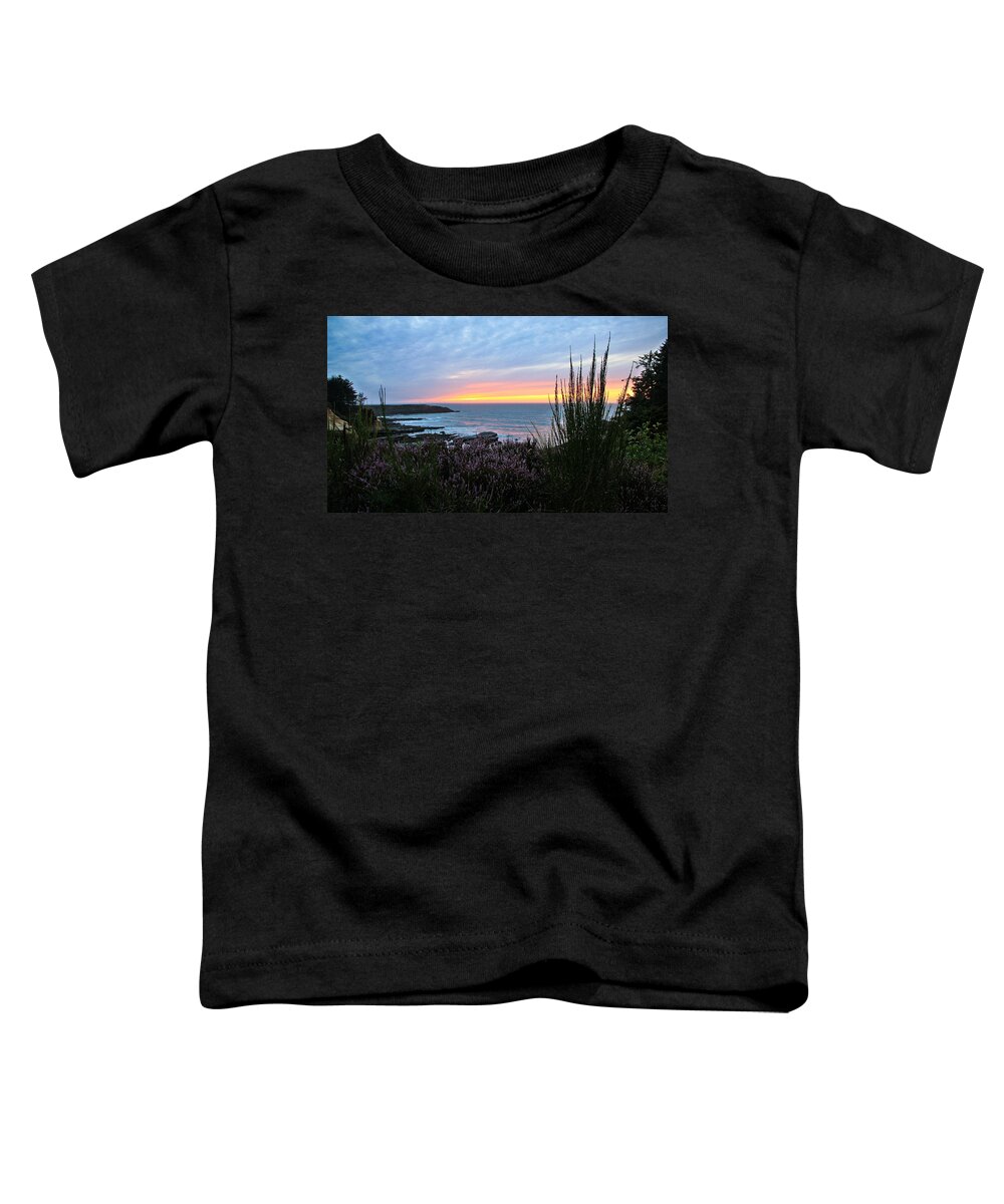 Sunset Toddler T-Shirt featuring the photograph Sunset Garden View by Athena Mckinzie