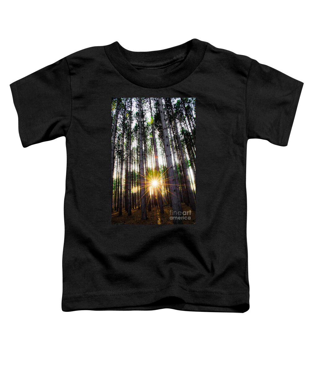 Oak Openings Toddler T-Shirt featuring the photograph Sunset Pines by Michael Arend