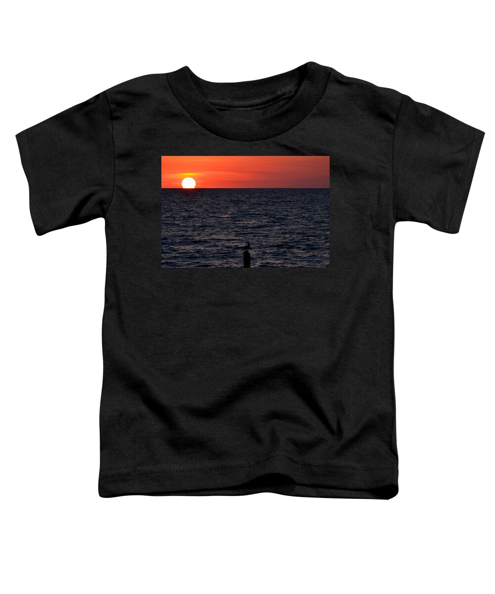 Florida Toddler T-Shirt featuring the photograph Sunset Silhoutte by Richard Zentner