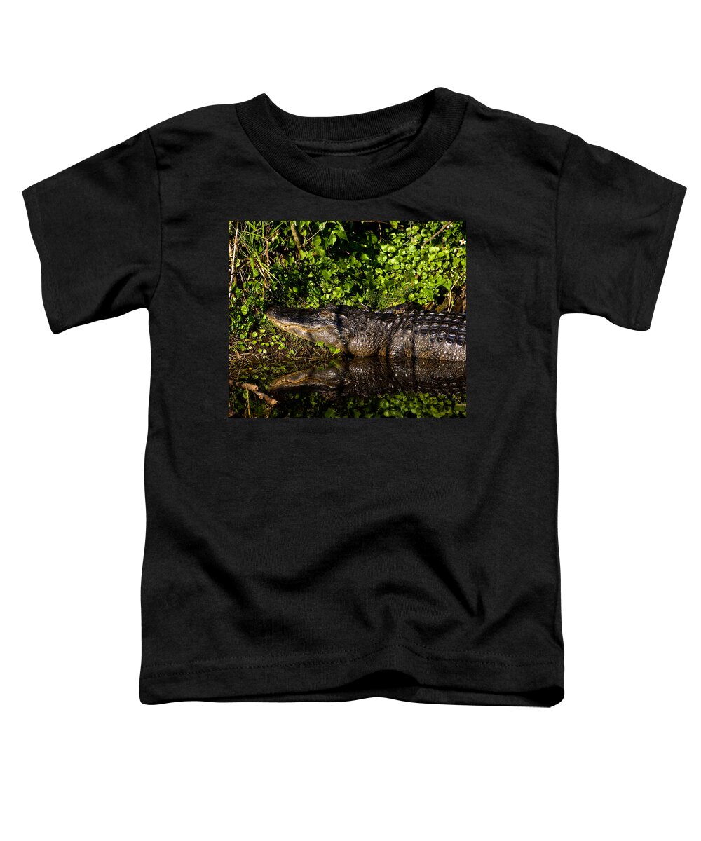 Alligators Toddler T-Shirt featuring the photograph Swamp Reflections by Kathi Isserman
