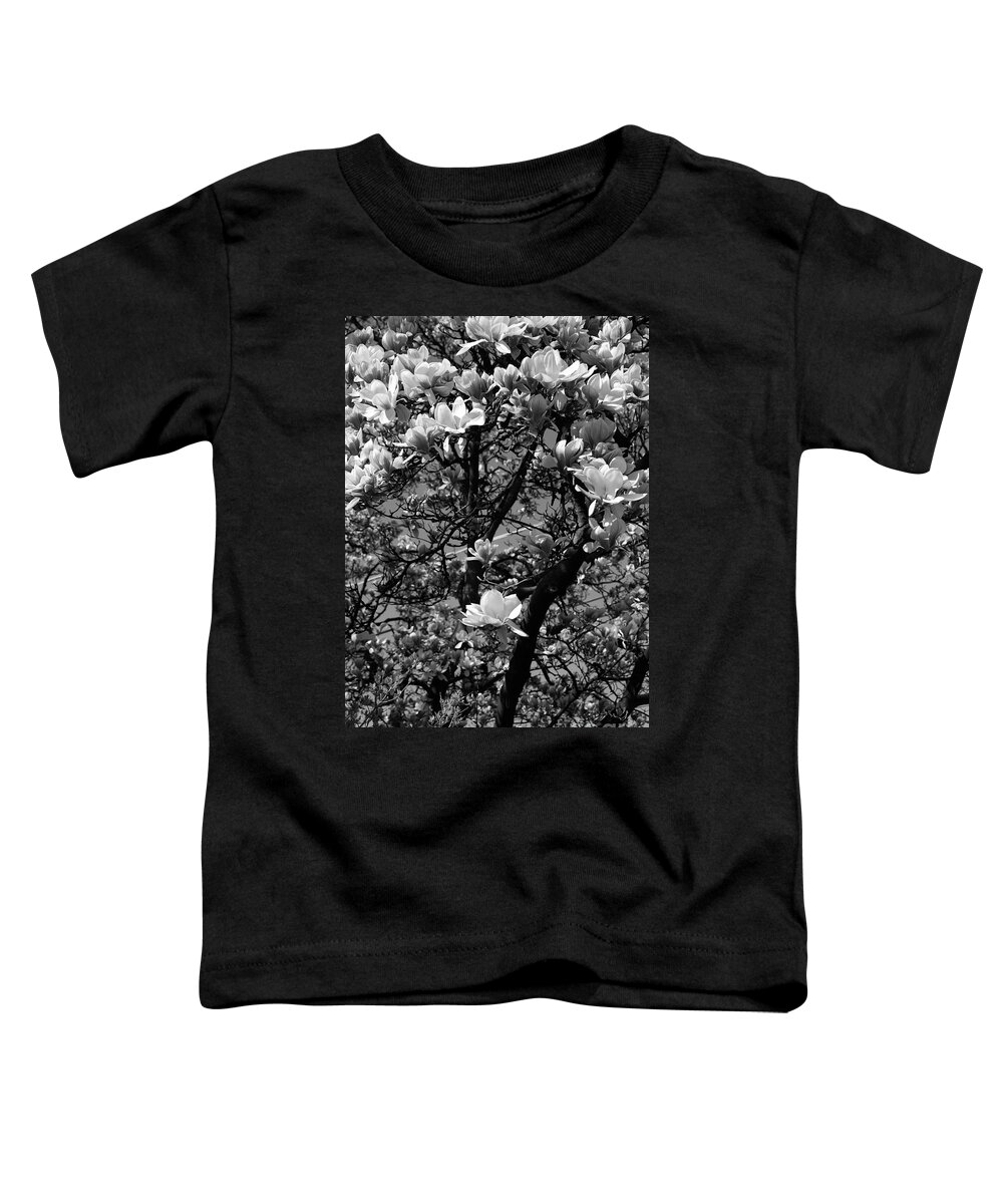 White-magnolia Toddler T-Shirt featuring the photograph Sweet Magnolia by Frank J Casella