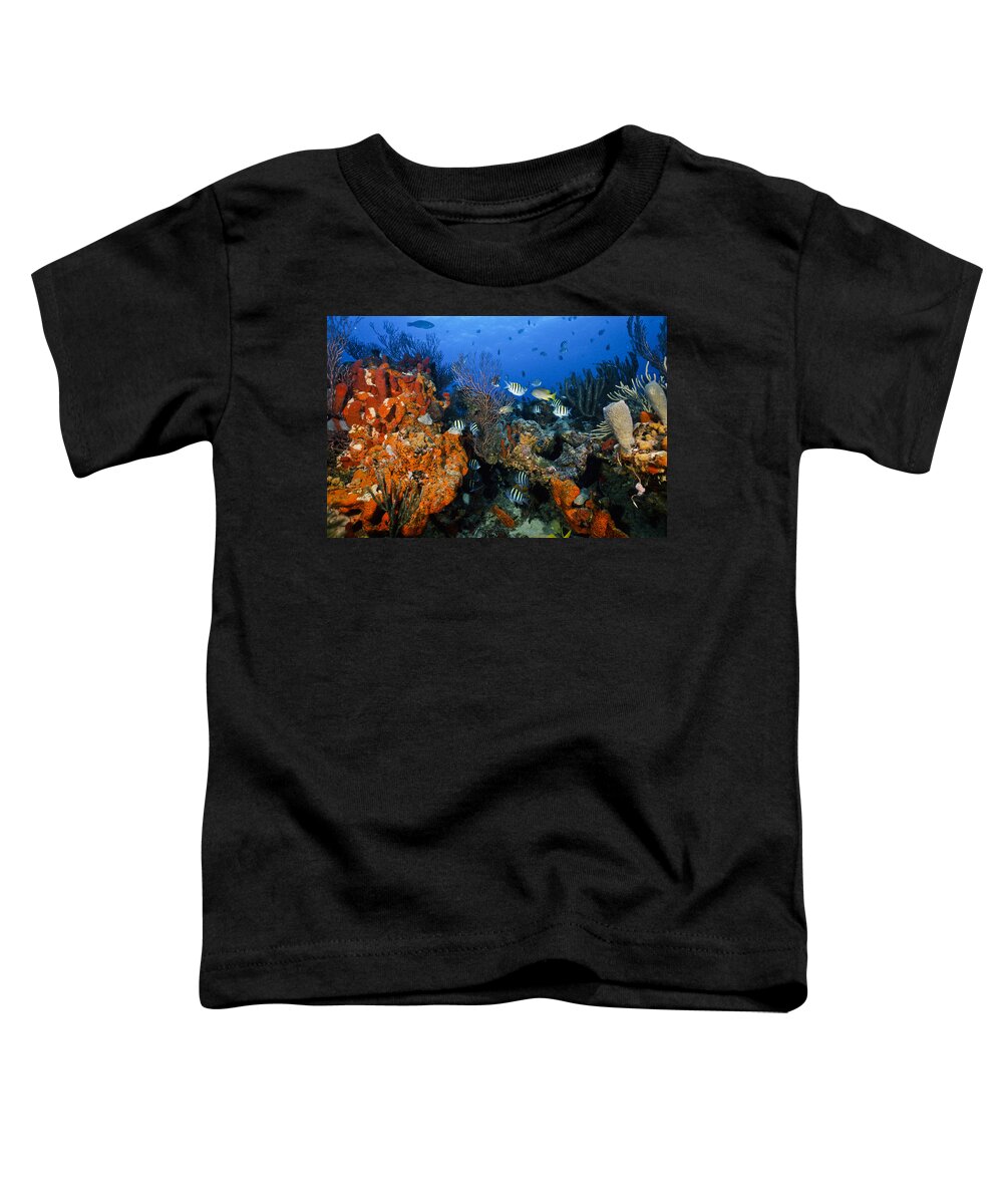 Art Toddler T-Shirt featuring the photograph The Active Reef by Sandra Edwards