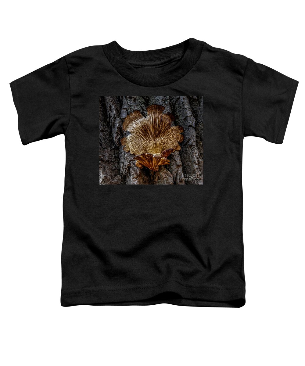Fungus Toddler T-Shirt featuring the photograph The Art of Nature by Ronald Grogan