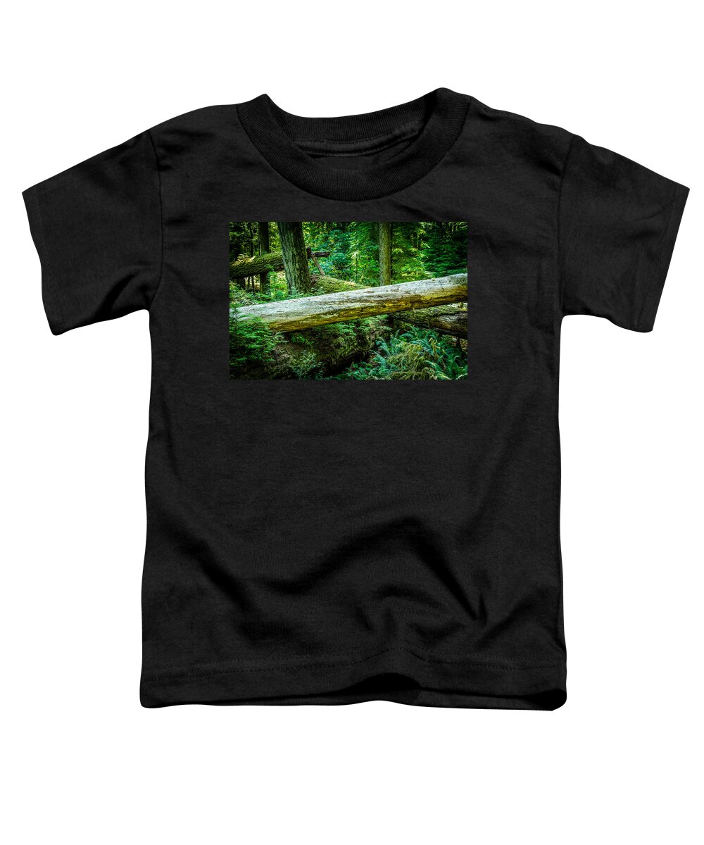 Old Growth Forest Toddler T-Shirt featuring the photograph Support System Cathedral Grove by Roxy Hurtubise