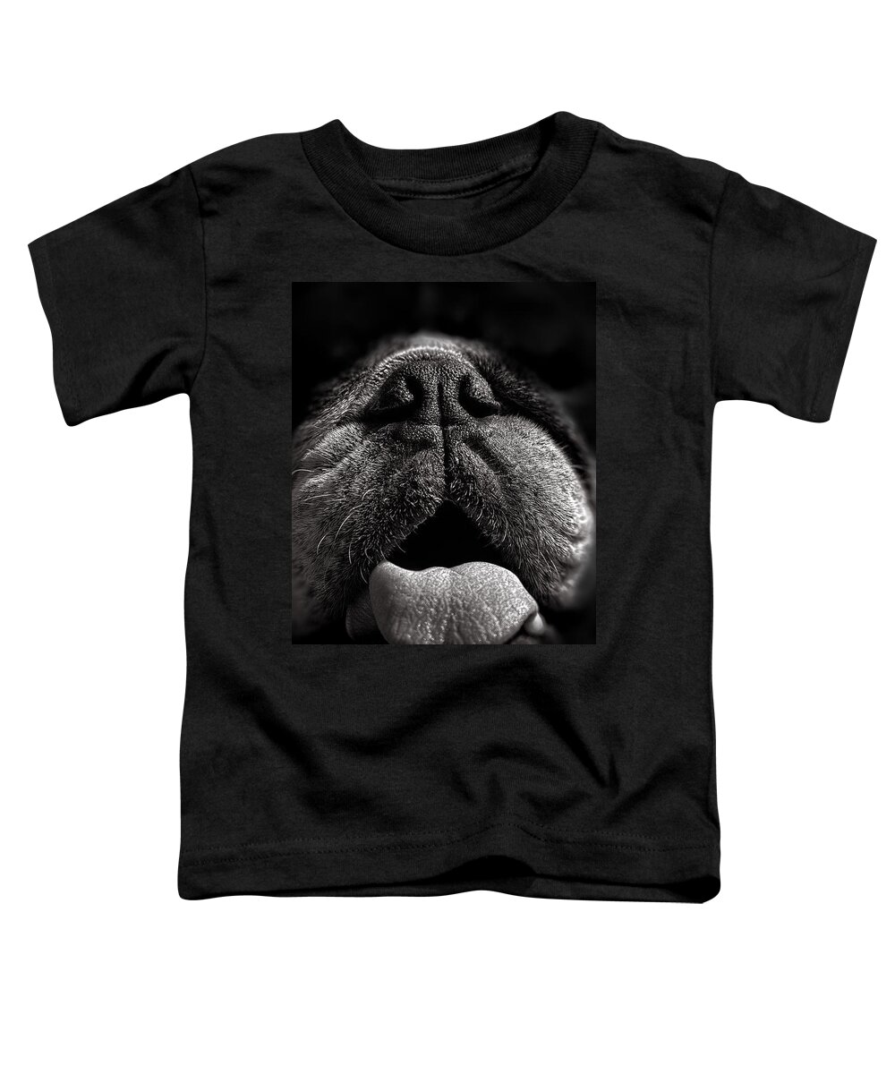 Dog Toddler T-Shirt featuring the photograph The Nose Knows by Bob Orsillo
