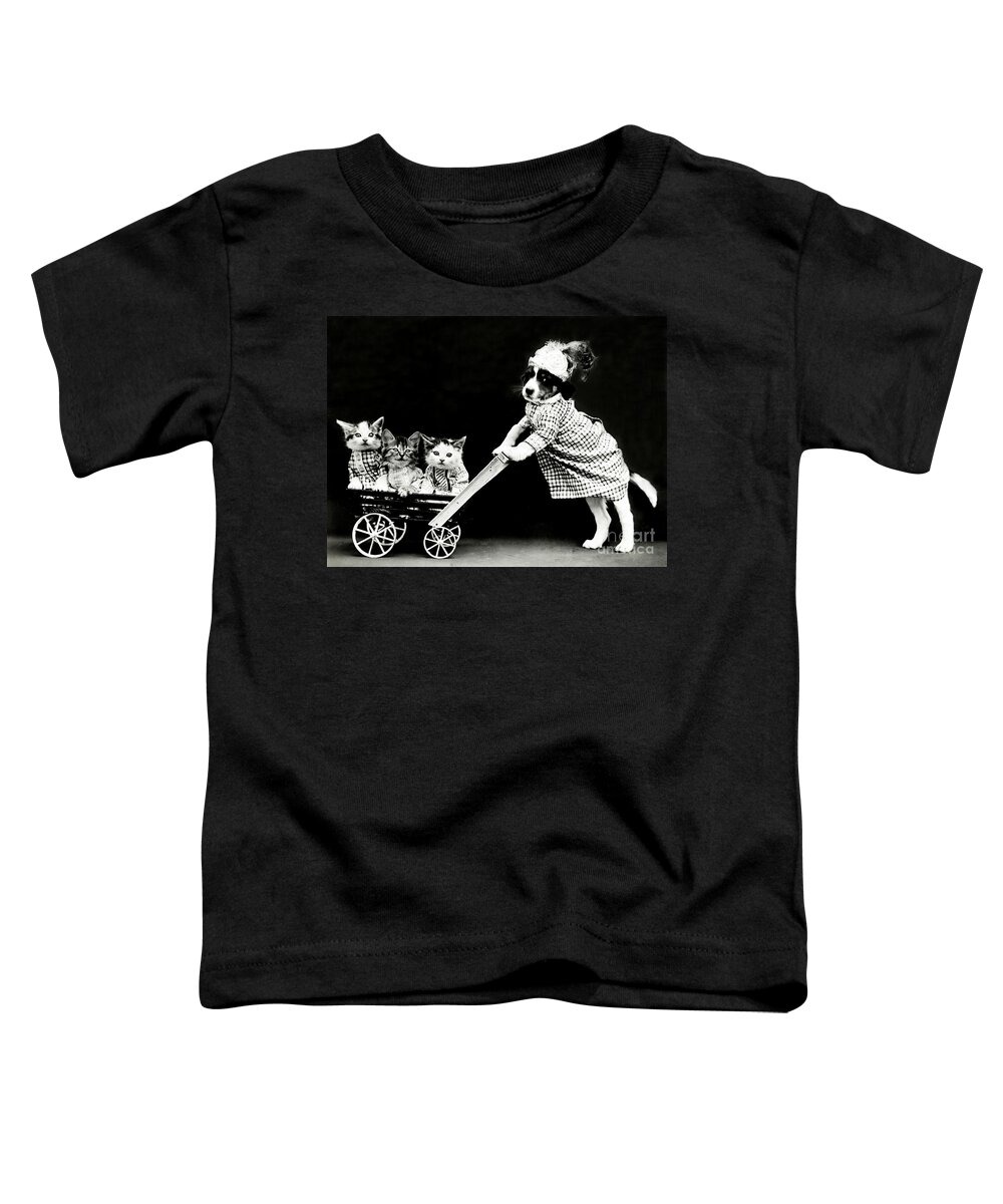 Animal Portrait Toddler T-Shirt featuring the photograph The Outing 1914 by Science Source