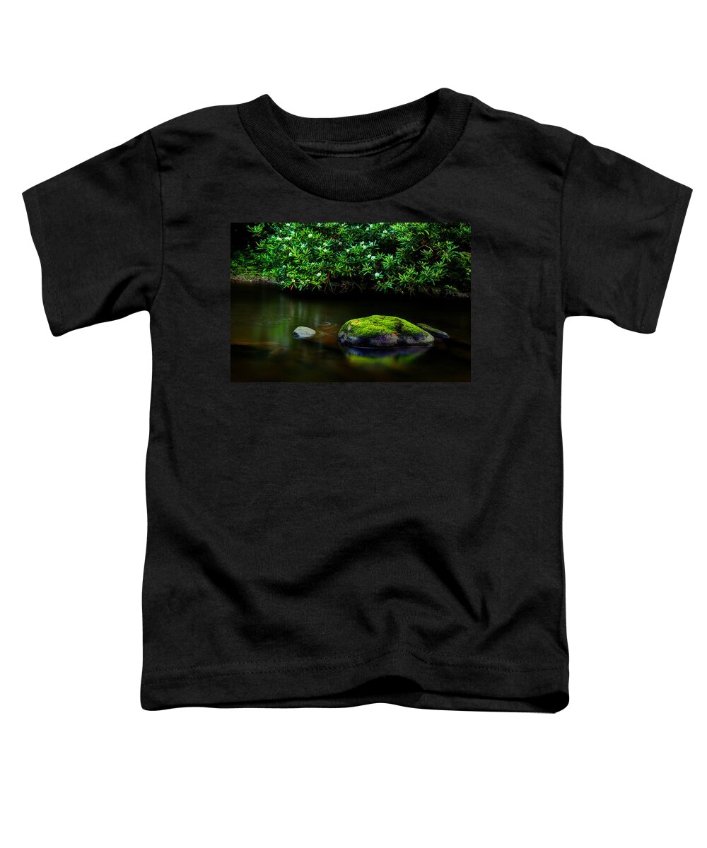 Quiet River Scene Toddler T-Shirt featuring the photograph The Stream's Embrace by Michael Eingle