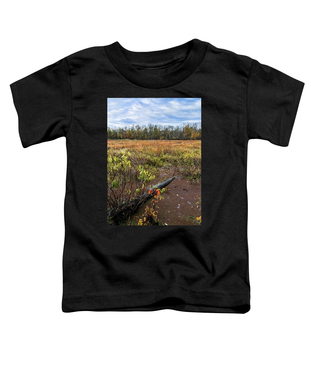 Landscape Toddler T-Shirt featuring the photograph Transcending To Autumn by Dale Kincaid
