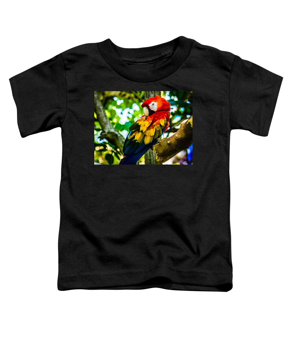 Tropical Toddler T-Shirt featuring the photograph Tropical Bird by Sara Frank