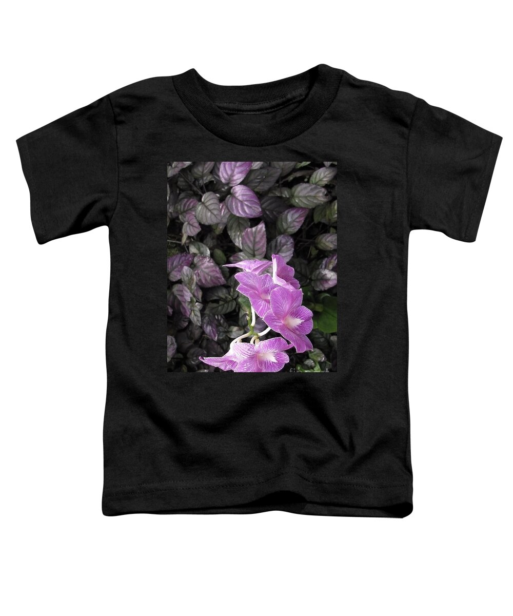 Orchids Toddler T-Shirt featuring the photograph Tropical Orchids by Ellen Cotton