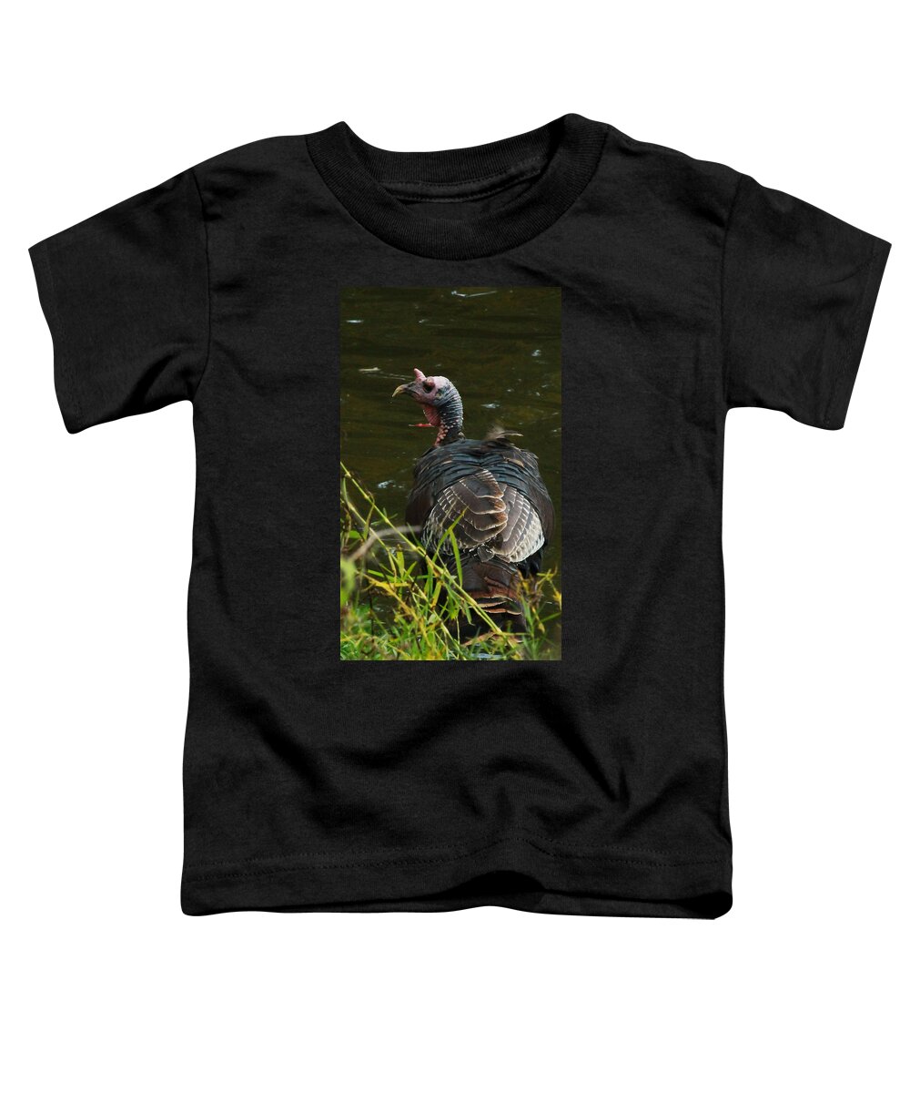 Wild Turkey Toddler T-Shirt featuring the photograph Turkey at Lake by Jeff Kurtz