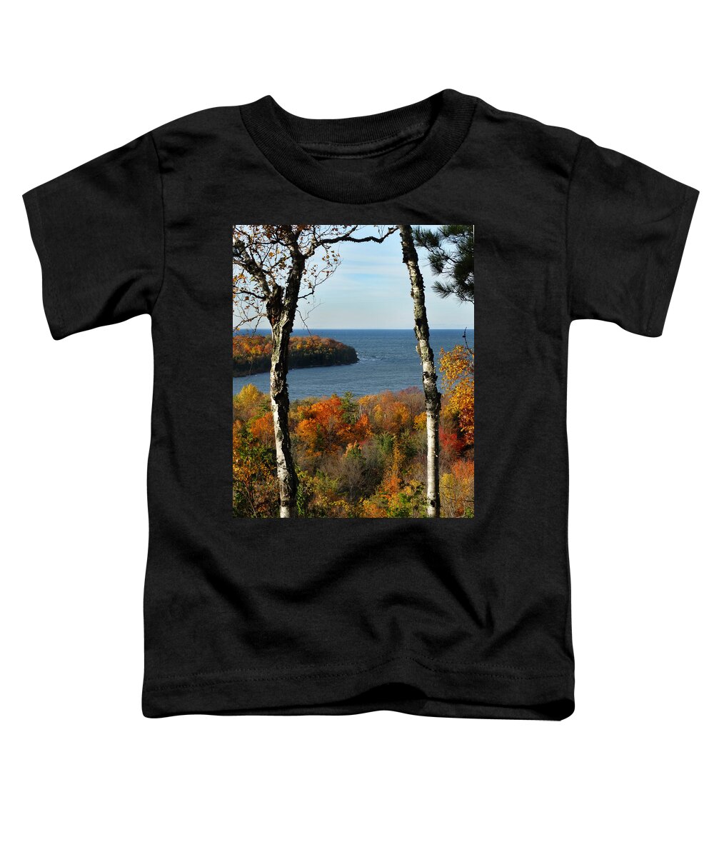 Birch Toddler T-Shirt featuring the photograph Twin Birches at Nicolet Bay by David T Wilkinson