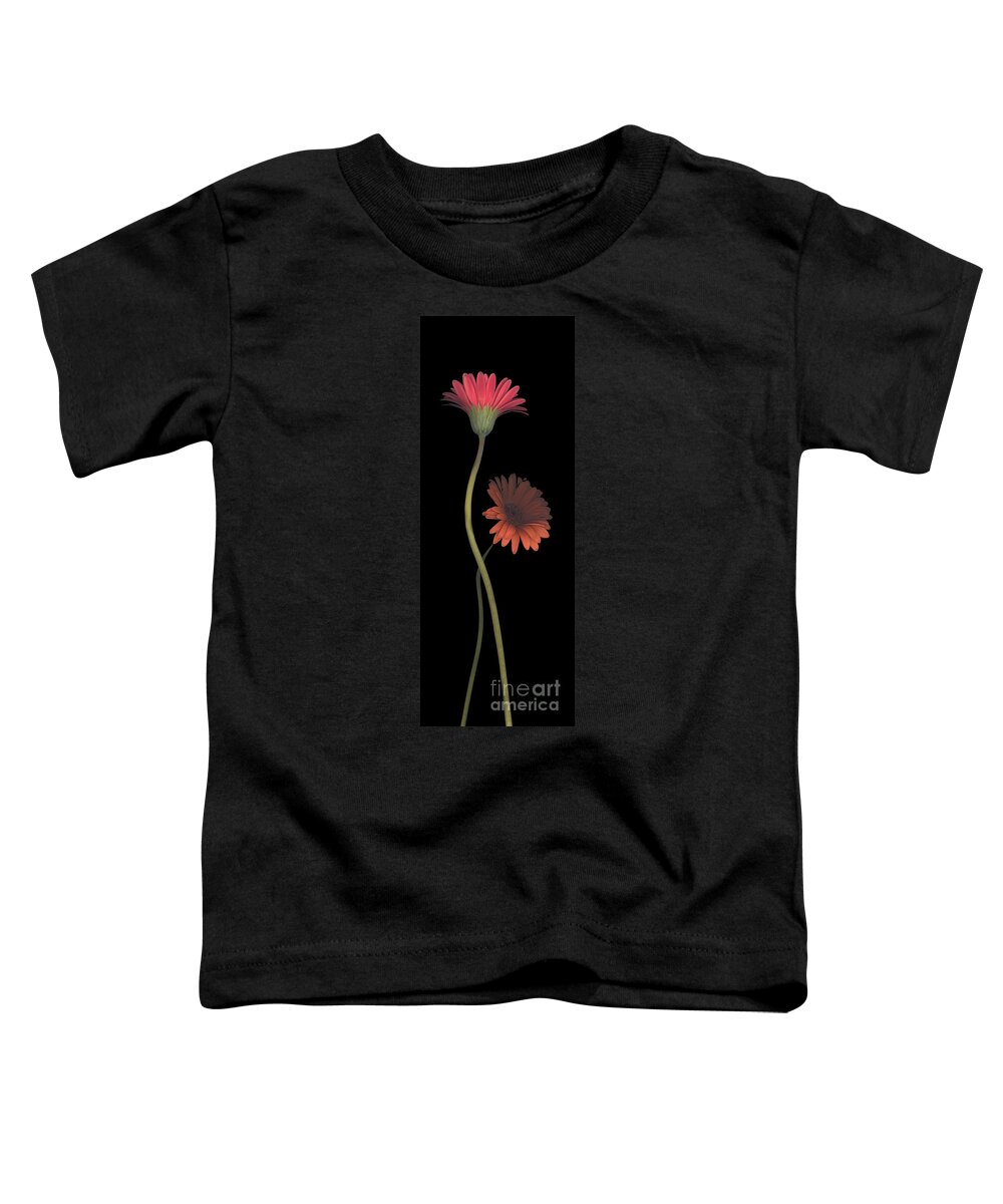 Daisy Toddler T-Shirt featuring the photograph Two Daisies Tall RIGHT by Heather Kirk