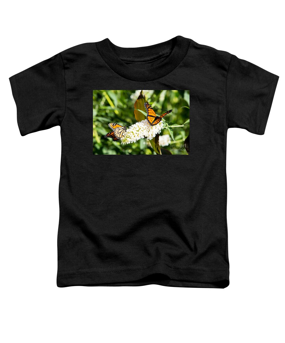 Monarch Toddler T-Shirt featuring the photograph Two Monarch Butterflies by Brad Marzolf Photography
