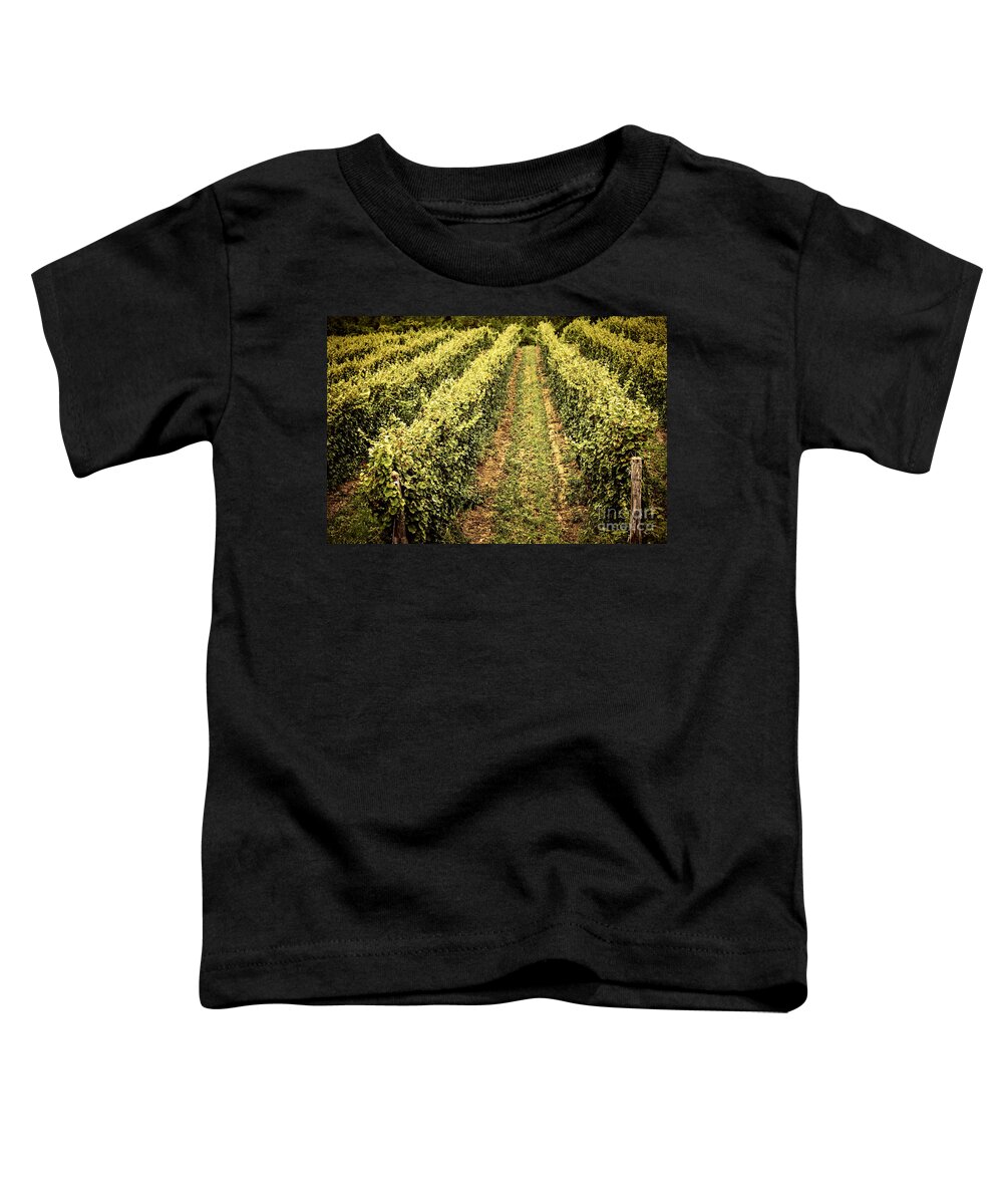 Vineyard Toddler T-Shirt featuring the photograph Vines growing in vineyard by Elena Elisseeva