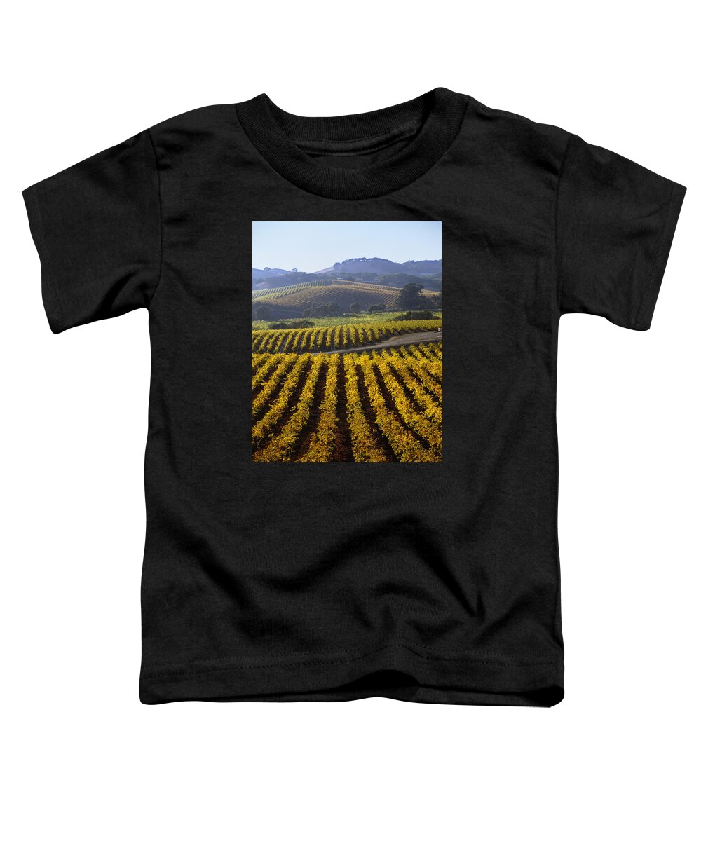 Harvest Toddler T-Shirt featuring the photograph 6B6387-Vineyard in Autumn V by Ed Cooper Photography