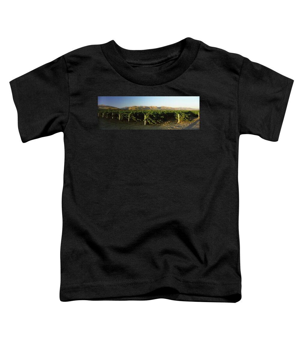Photography Toddler T-Shirt featuring the photograph Vineyard On A Landscape, Santa Ynez by Panoramic Images