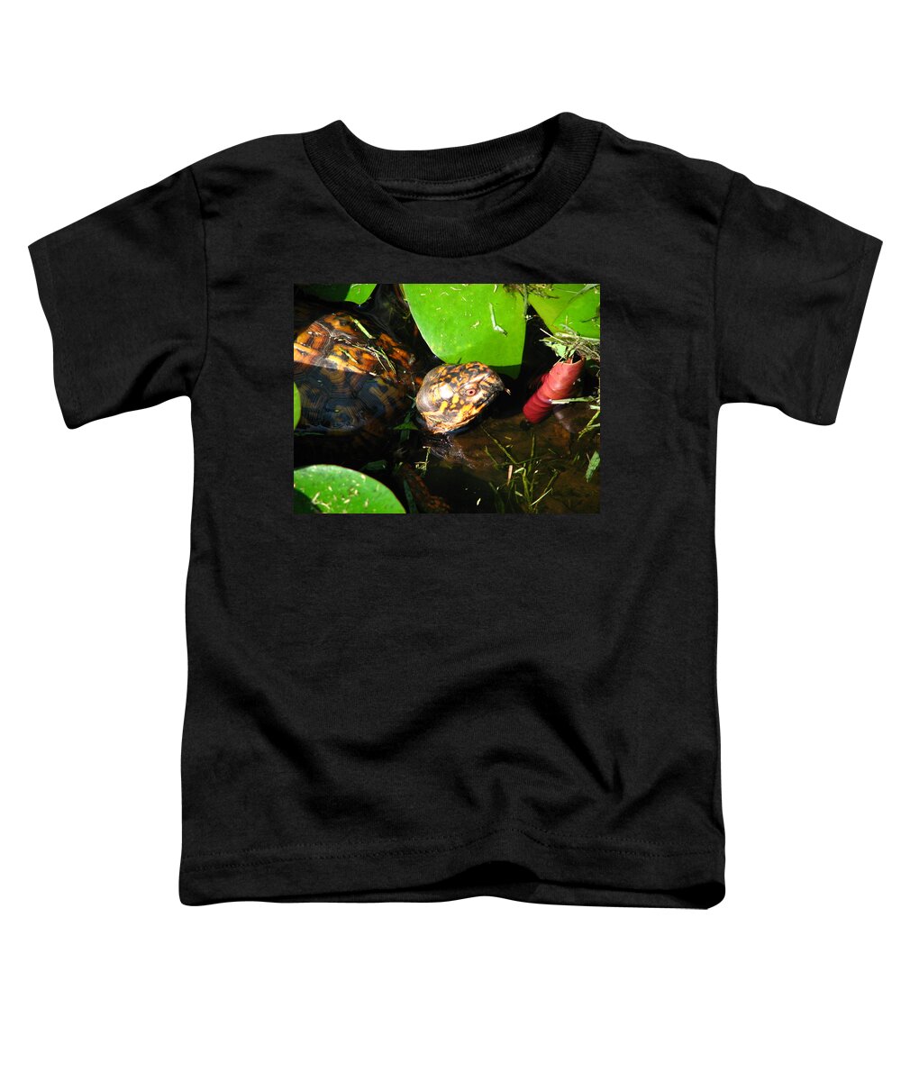 Box Turtle Toddler T-Shirt featuring the photograph Wade in the Water by Cleaster Cotton