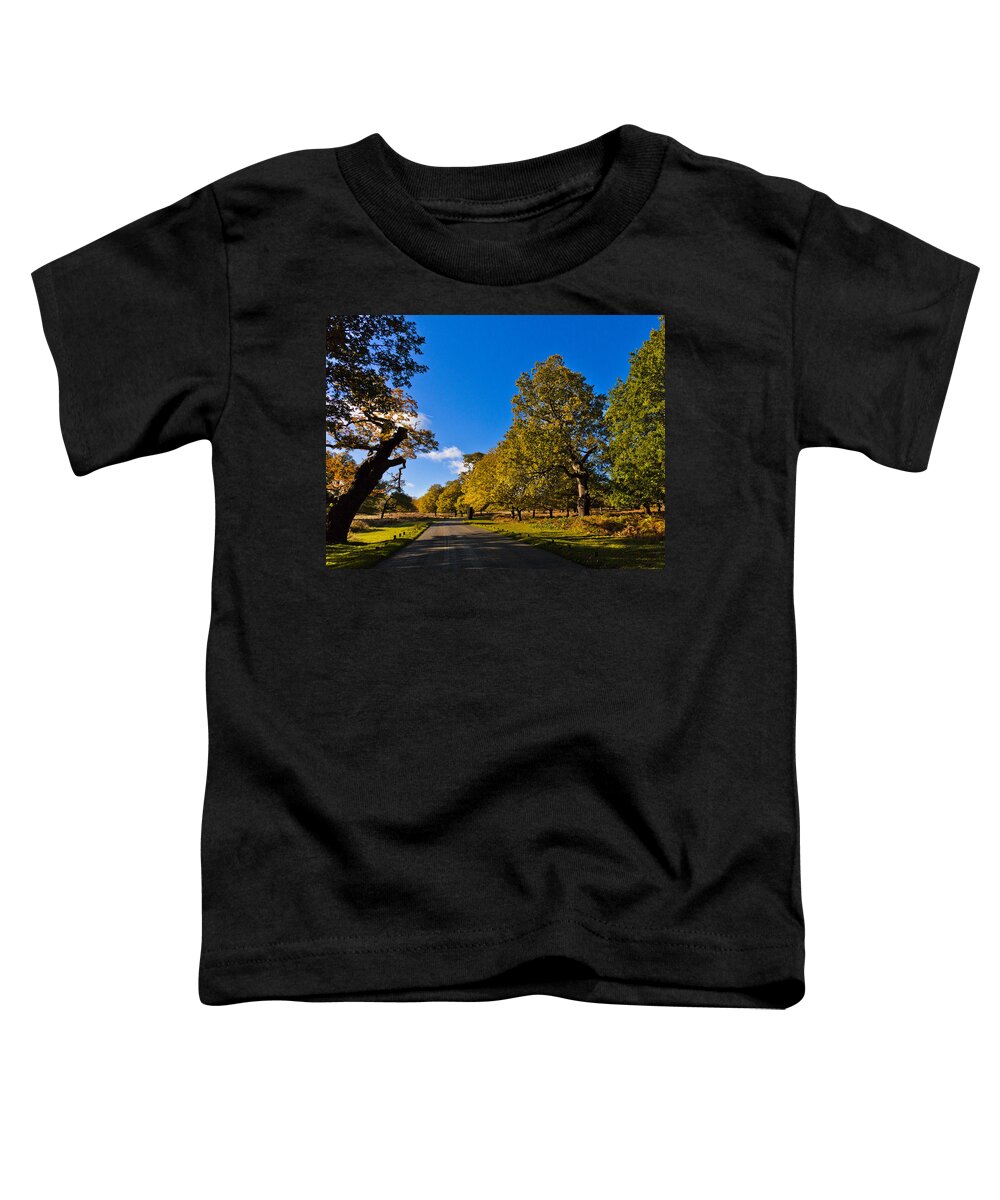 Richmond Park Toddler T-Shirt featuring the photograph Walking Path by Maj Seda