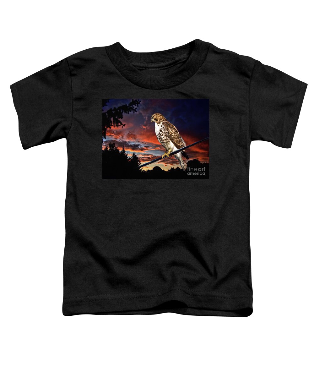 Bird Of Prey Toddler T-Shirt featuring the photograph Watching the Sun Set by Andrea Kollo