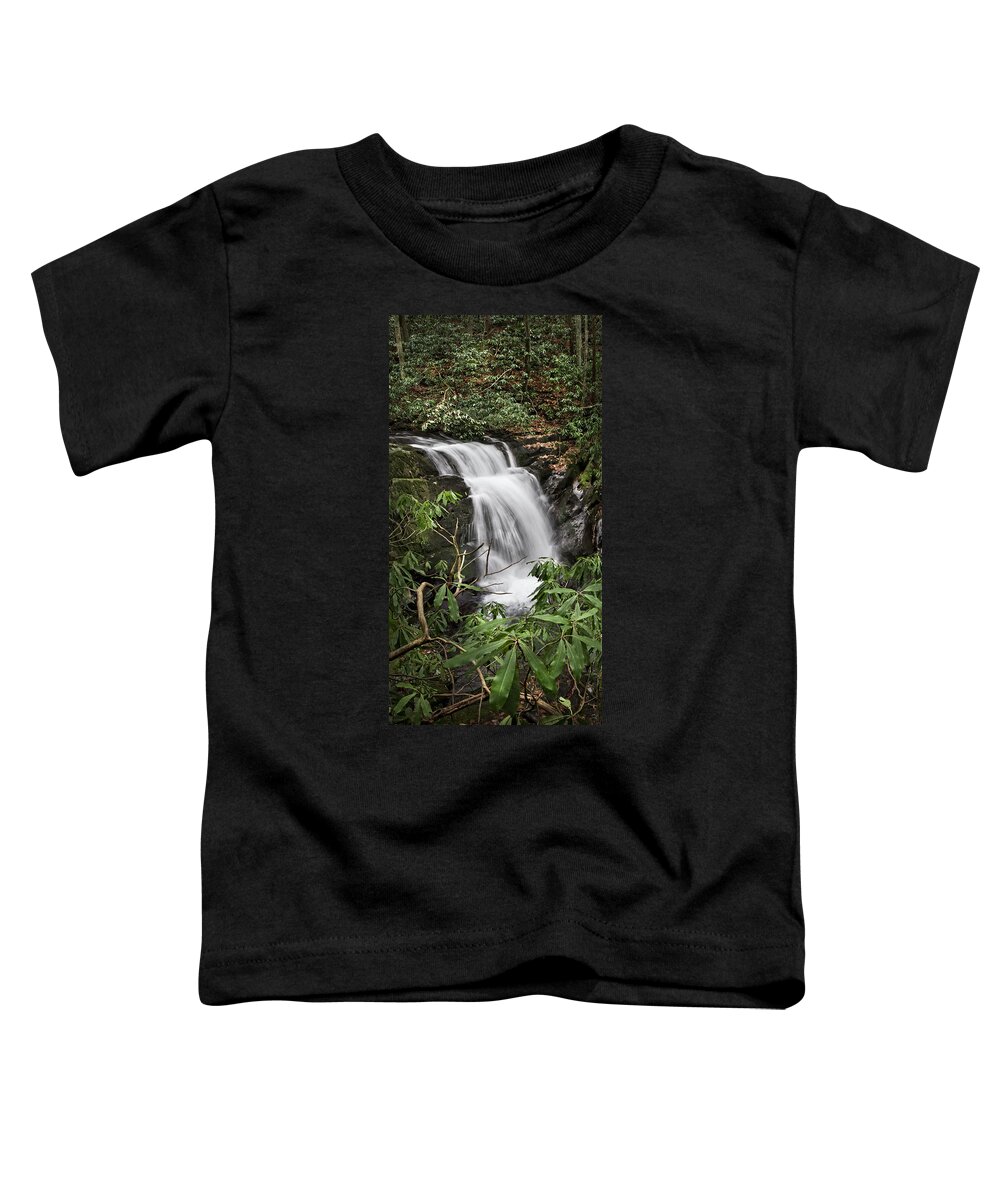 Appalachia Toddler T-Shirt featuring the photograph Waterfall Panorama by Debra and Dave Vanderlaan