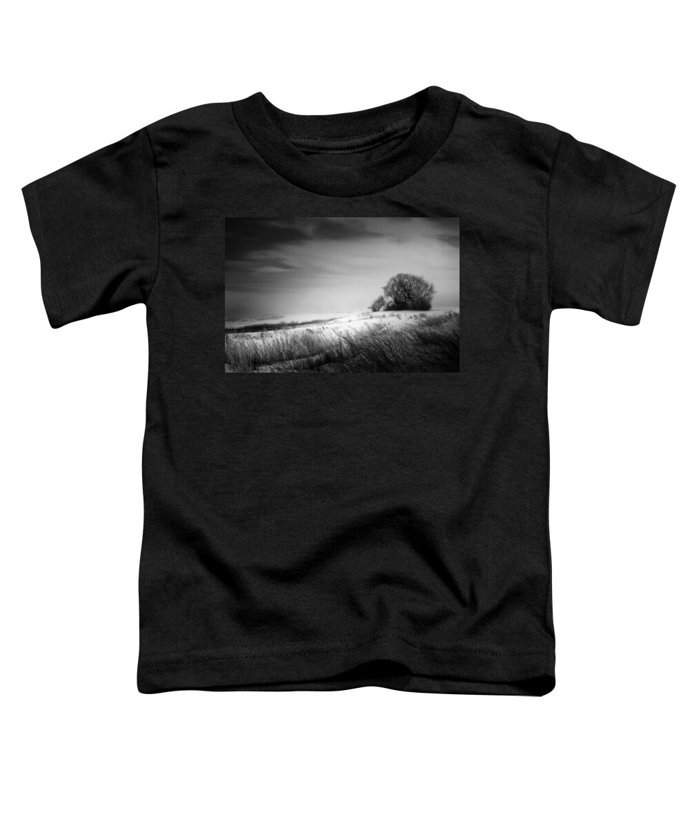 Fog Toddler T-Shirt featuring the photograph Where the Wild Winds Blow by Sandra Parlow