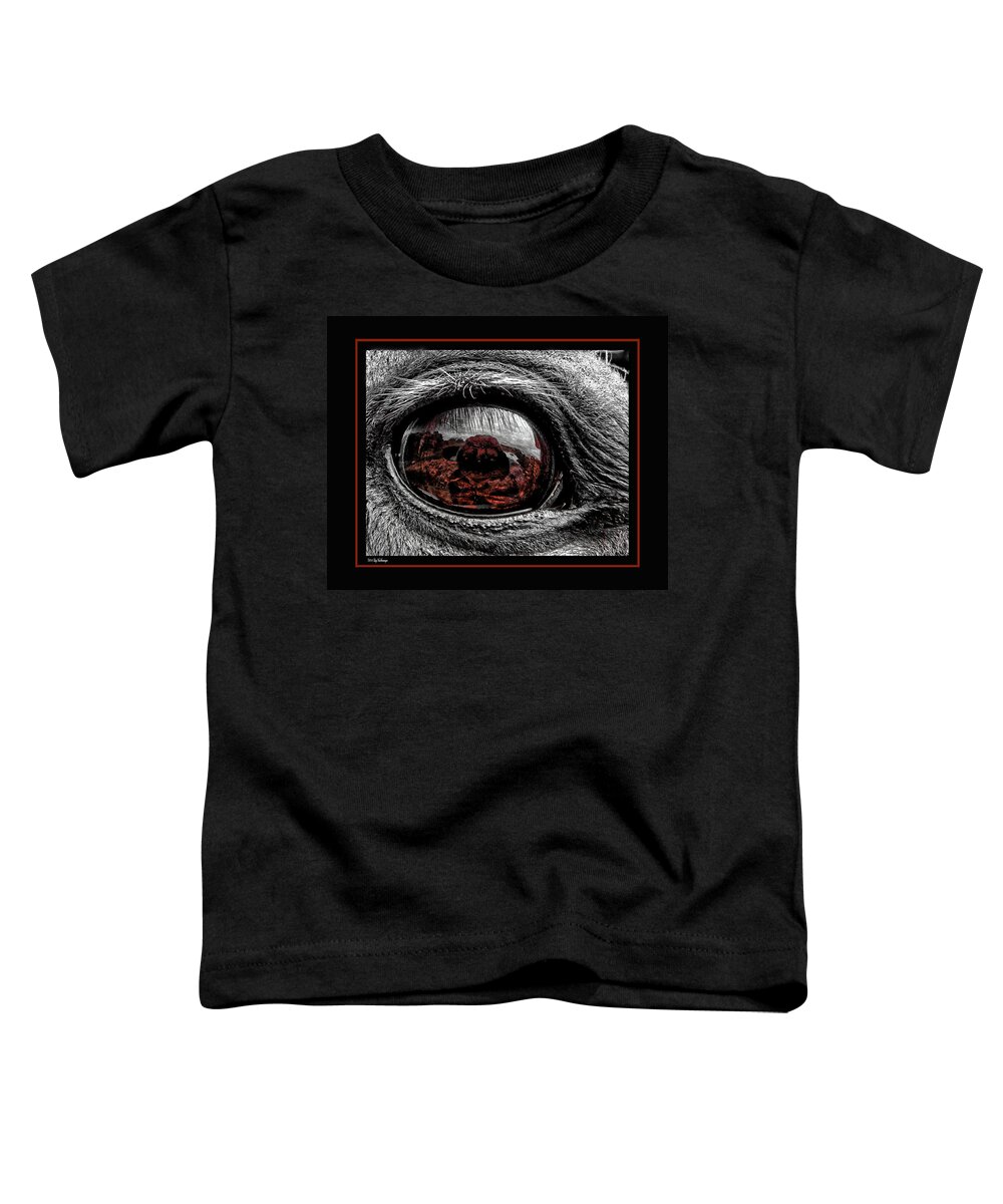 Window Toddler T-Shirt featuring the photograph Window To His Soul by Lucy VanSwearingen