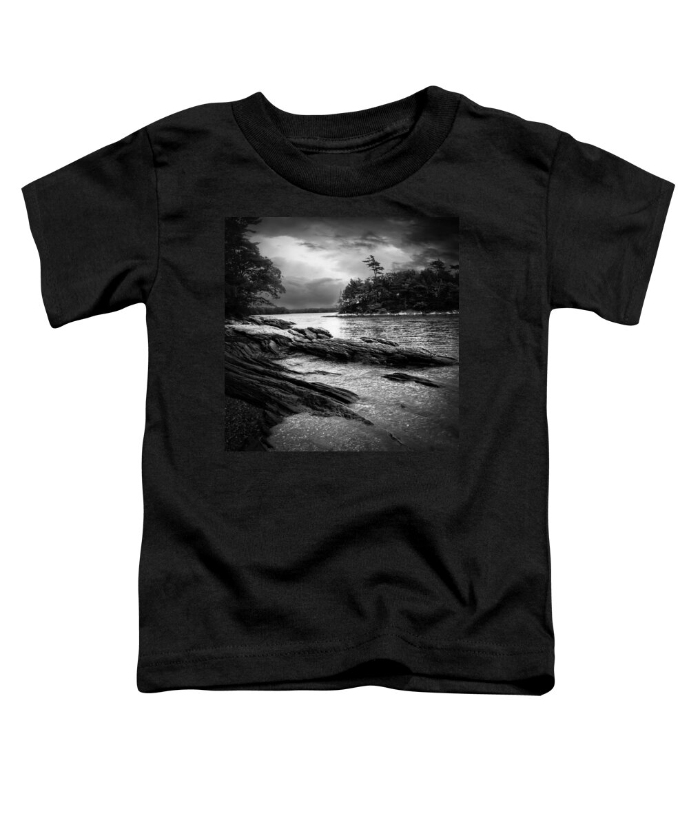 Shore Toddler T-Shirt featuring the photograph Winter Moonlight Wolfes Neck Woods Maine by Bob Orsillo