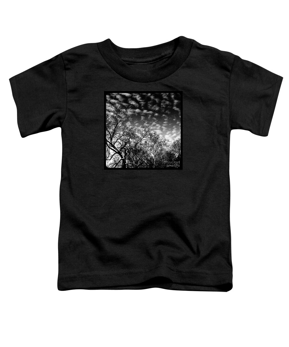  Illinois Toddler T-Shirt featuring the photograph Winterfold - Monochrome by Frank J Casella