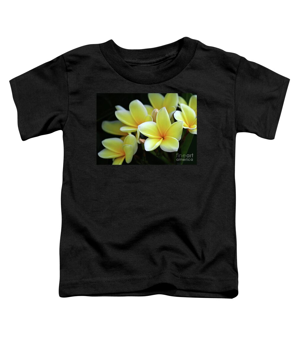 Plumeria Toddler T-Shirt featuring the photograph Yellow Plumeria Cascade by Sabrina L Ryan