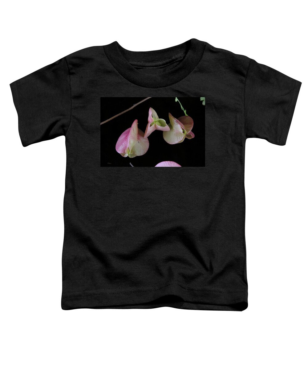 Delicate Toddler T-Shirt featuring the photograph Zen of Nature I by Julianne Felton